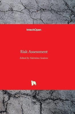 bokomslag Risk Assessment