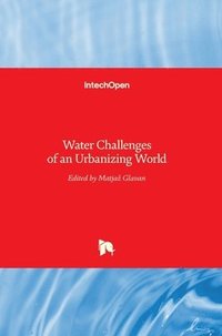 bokomslag Water Challenges of an Urbanizing World