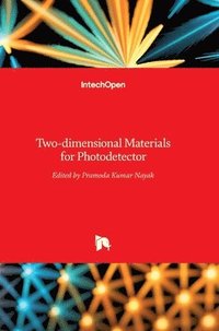 bokomslag Two-dimensional Materials for Photodetector