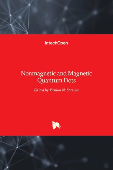 Vasilios N. Stavrou - Nonmagnetic and Magnetic Quantum Dots, Inbunden