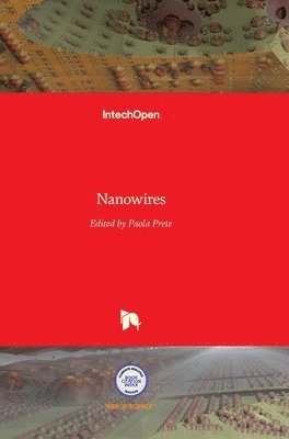 Paola Prete - Nanowires, Inbunden