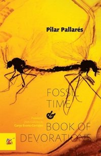 bokomslag Fossil Time and Book of Devorations