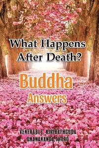bokomslag What Happens After Death-Buddha Answers