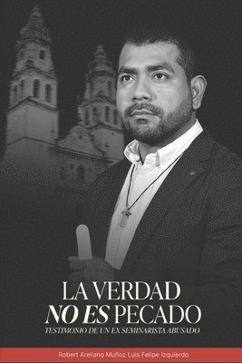 bokomslag Verdad No Es Pecado