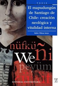 bokomslag mapudung n de Santiago de Chile