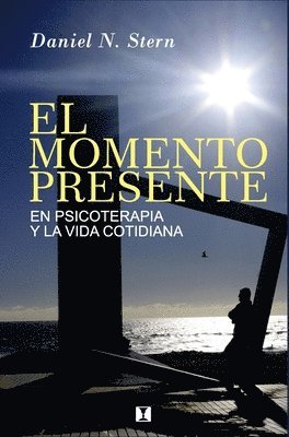 Daniel N Stern - Momento Presente, Häftad