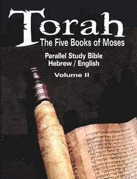 bokomslag Torah