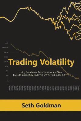 Seth Goldman - Trading Volatility Using Correlation, Term Structure and Skew, Häftad