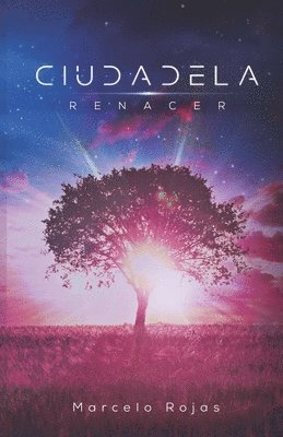 Marcelo Rojas - Ciudadela, Häftad