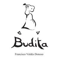 Francisco Valdés Donoso - Budita, Inbunden