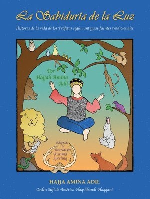 bokomslag sabidur a de la luz