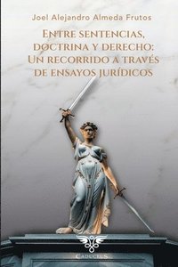 bokomslag Entre sentencias, doctrina y derecho: Un recorrido a través de ensayos jurídicos