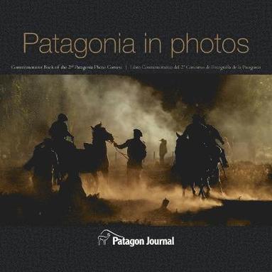 bokomslag Patagonia in Photos