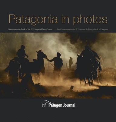 bokomslag Patagonia in Photos (Hardback)