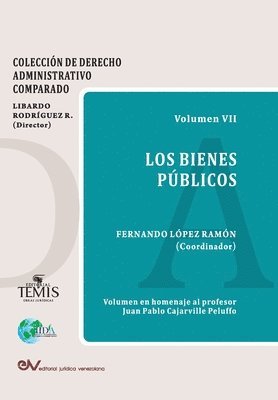 Fernando López Ramón, FERNANDO LÓPEZ RAMÓN - Bienes Públicos, Häftad