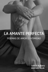bokomslag La Amante Perfecta