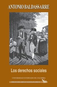bokomslag Los derechos sociales