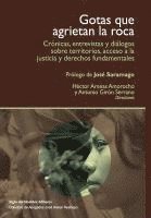 bokomslag Gotas que agrietan la roca: Crónicas, entrevistas y diálogos sobre territorios y acceso a la justicia