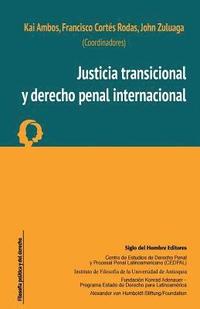 bokomslag Justicia transicional y derecho penal internacional