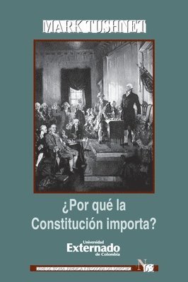 bokomslag ¿Por qué la Constitución importa?