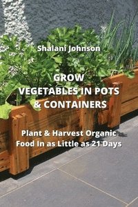bokomslag Grow Vegetables in Pots & Containers