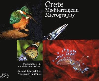 Crete Mediterranean Micrography