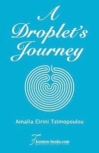 bokomslag A Droplet's Journey