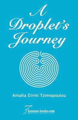 A Droplet's Journey 1