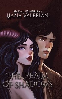 bokomslag Realm of Shadows