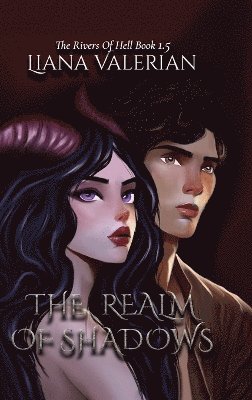 bokomslag Realm of Shadows