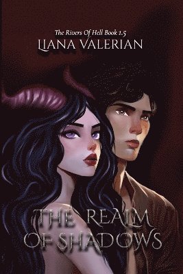 bokomslag Realm of Shadows