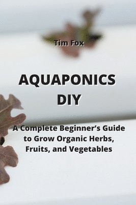 Aquaponics DIY 1