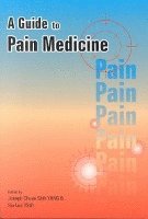 bokomslag Guide to Pain Medicine