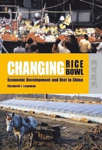 bokomslag Changing Rice Bowl - Economic Development and Diet in China