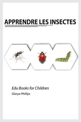 Apprendre les Insectes 1