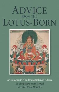bokomslag Advice from the Lotus-Born