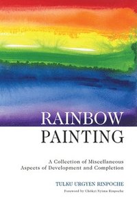 bokomslag Rainbow Painting