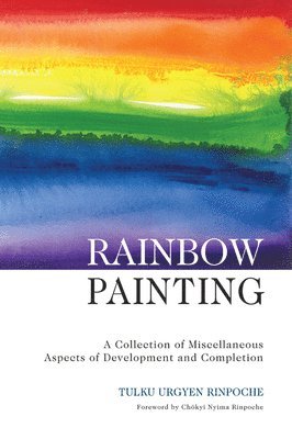 bokomslag Rainbow Painting