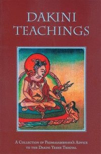 bokomslag Dakini Teachings