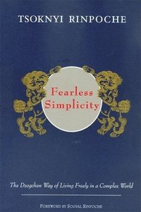 bokomslag Fearless Simplicity