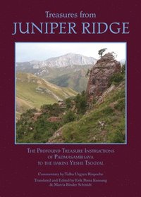 bokomslag Treasures from Juniper Ridge