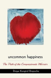bokomslag Uncommon Happiness