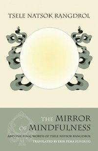 bokomslag The Mirror of Mindfulness
