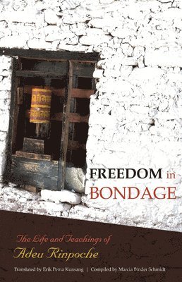 bokomslag Freedom In Bondage
