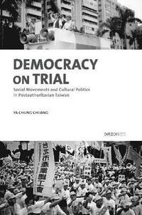 bokomslag Democracy on Trial