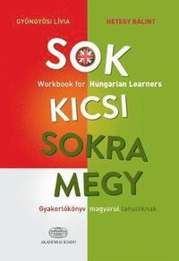 bokomslag Sok kicsi sokra megy (angol) - Workbook for Hungarian Learners
