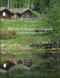 bokomslag Norvég nyelvtan