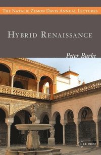 bokomslag Hybrid Renaissance