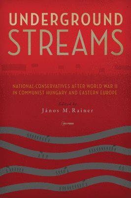 János M. Rainer, Janos M. Rainer, János M Rainer - Underground Streams, Inbunden