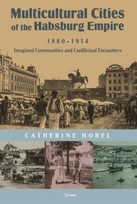 bokomslag Multicultural Cities of the Habsburg Empire, 1880-1914